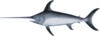 Sideview Swordfish Clip Art